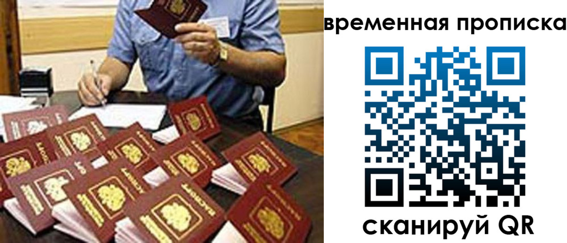 прописка для школы в Химках